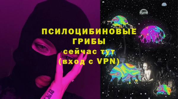 прущие крисы Горнозаводск