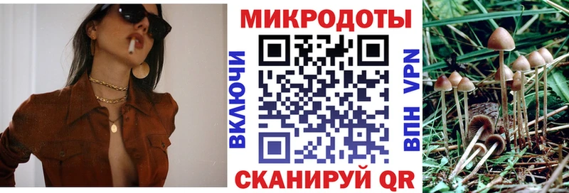 Псилоцибиновые грибы Magic Shrooms  Перевоз 